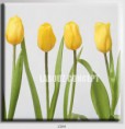 /album/photo-gallery-canvas-uri/decoratiuni-de-perete-canvas-lc-1264-jpg/